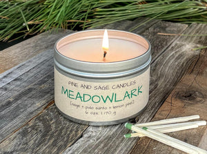 Treasure state candle collection