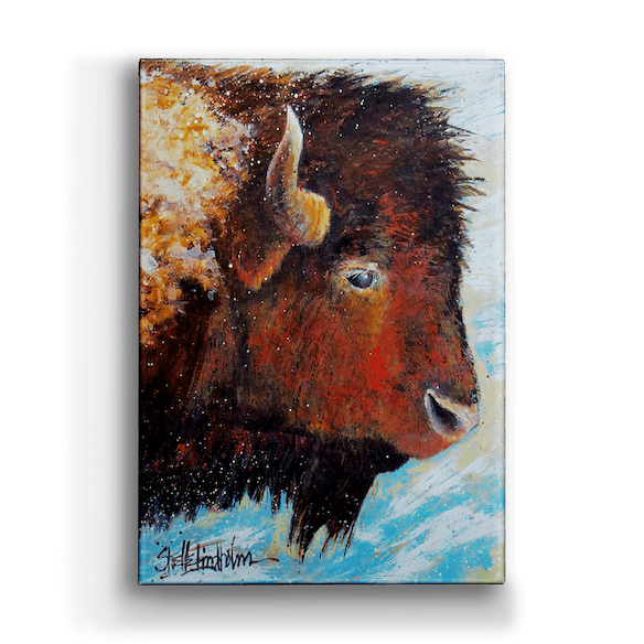 Bison in Windswept Box Art