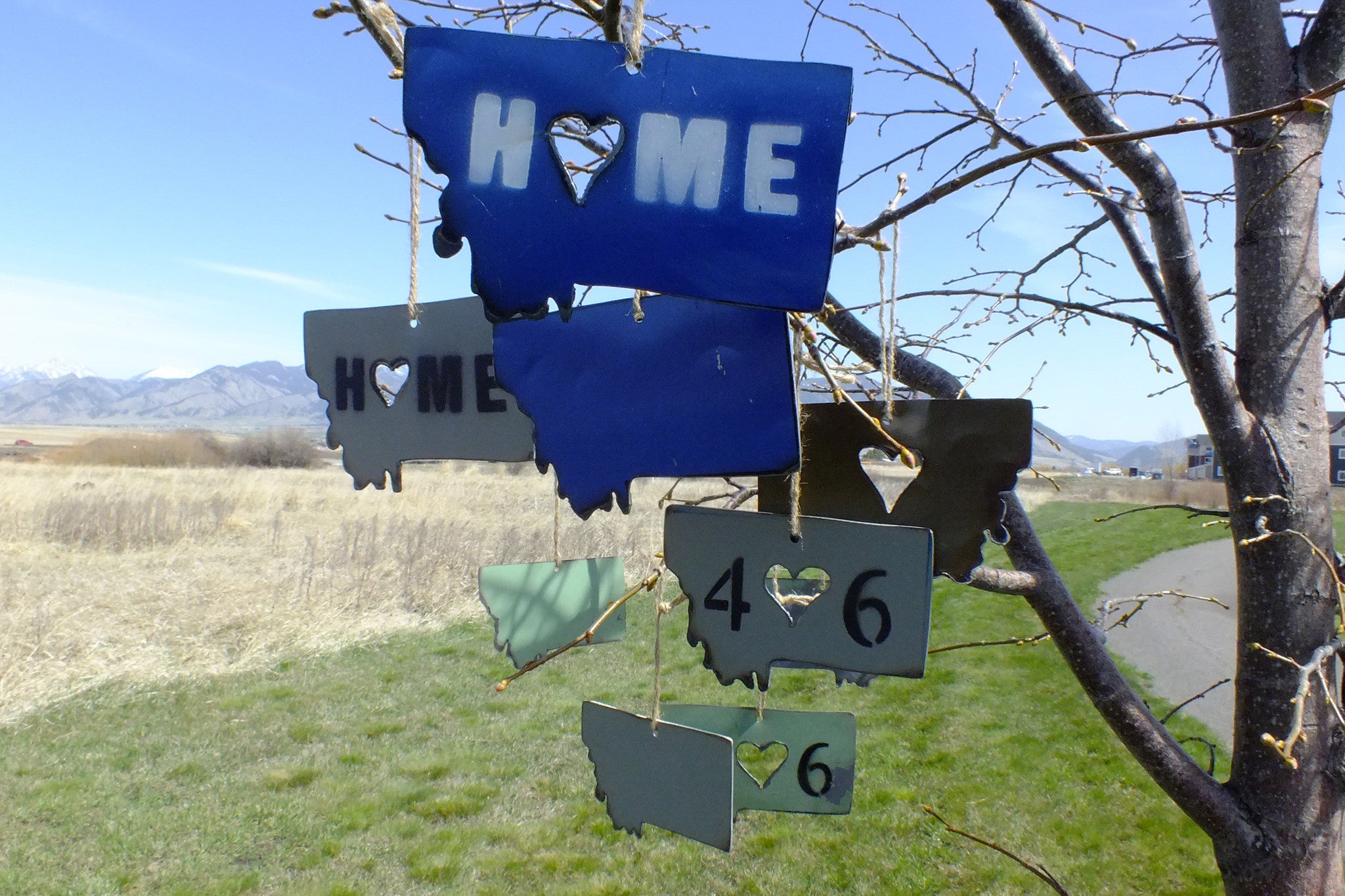 Montana Ornament Metal Assorted Styles