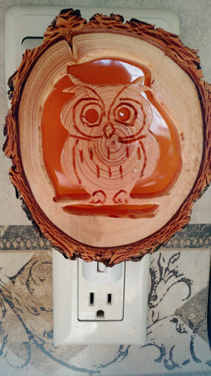 Owl Night Light - Distinctly Montana - 2