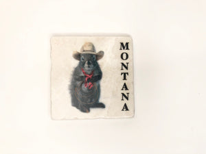 Montana Cowboy Squirrels Stone Coasters