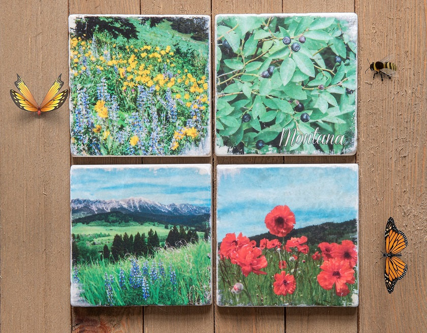 Montana Blooming Stone Coasters