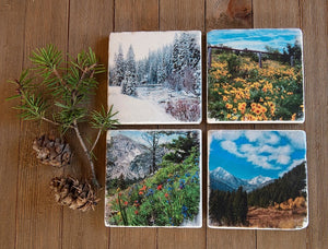 Montana Four Seasons Stone Coasters