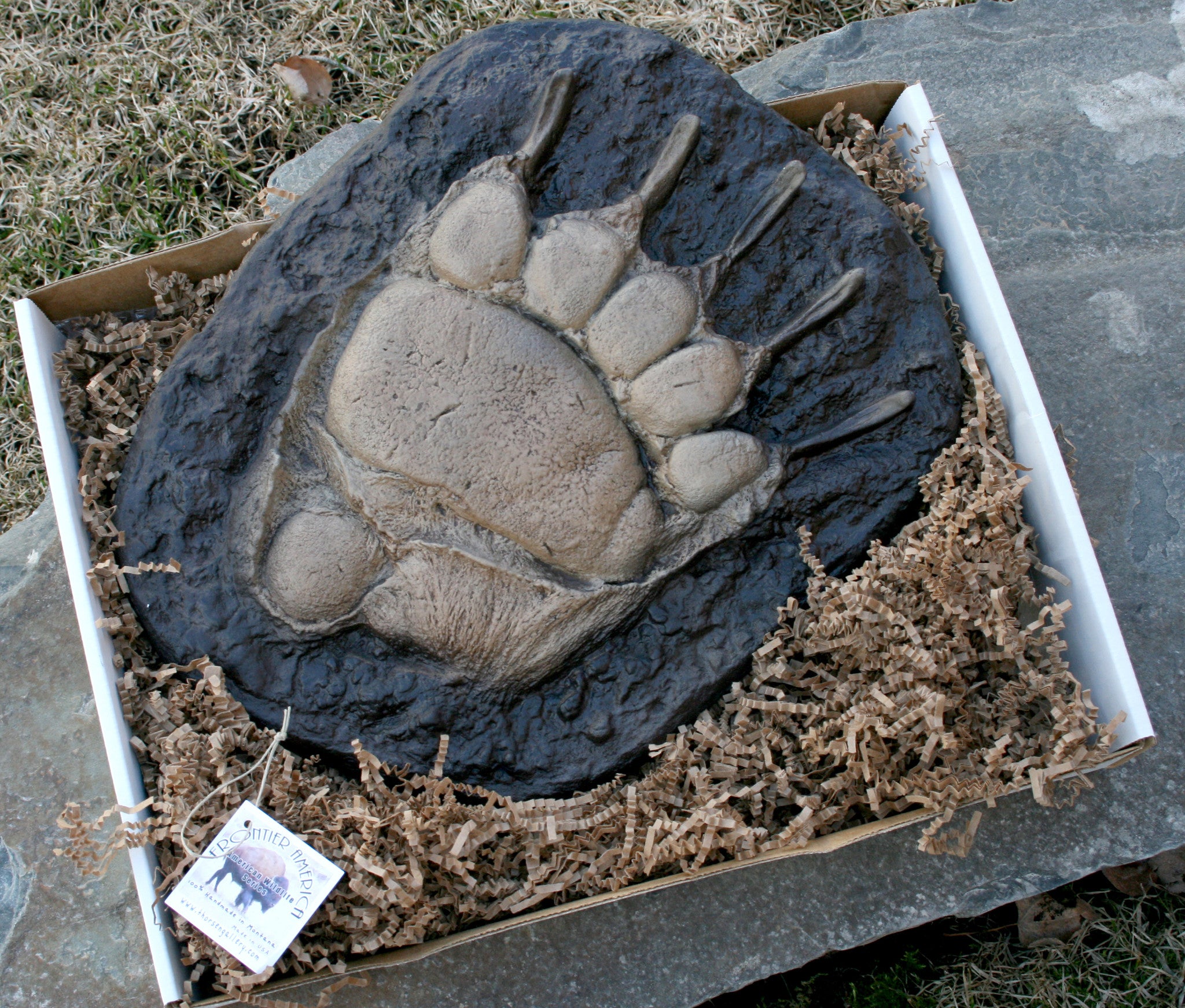 Montana Grizzly Bear Paw Track Wall Decor