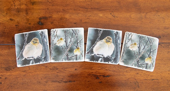 Montana Yellow Finches Coasters