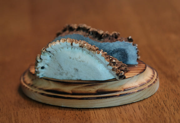 Burr Business Card Holder