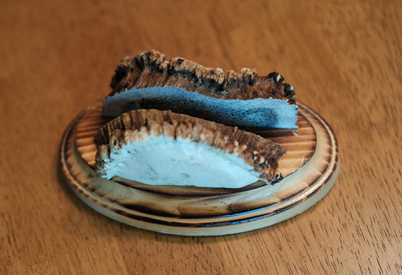 Burr Business Card Holder