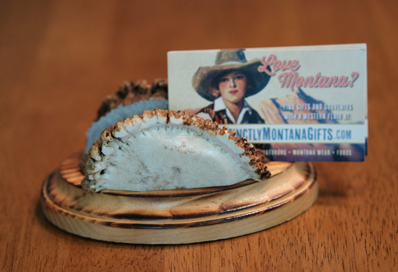 Burr Business Card Holder