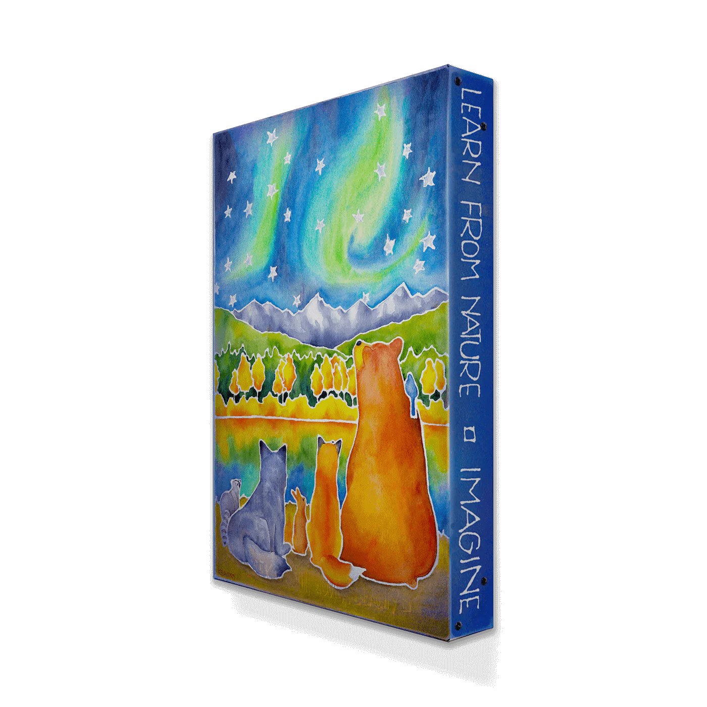 Drawn to the Lights Box Art