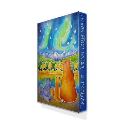 Drawn to the Lights Box Art