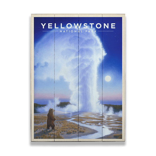 Bear Witness - Yellowstone National Park