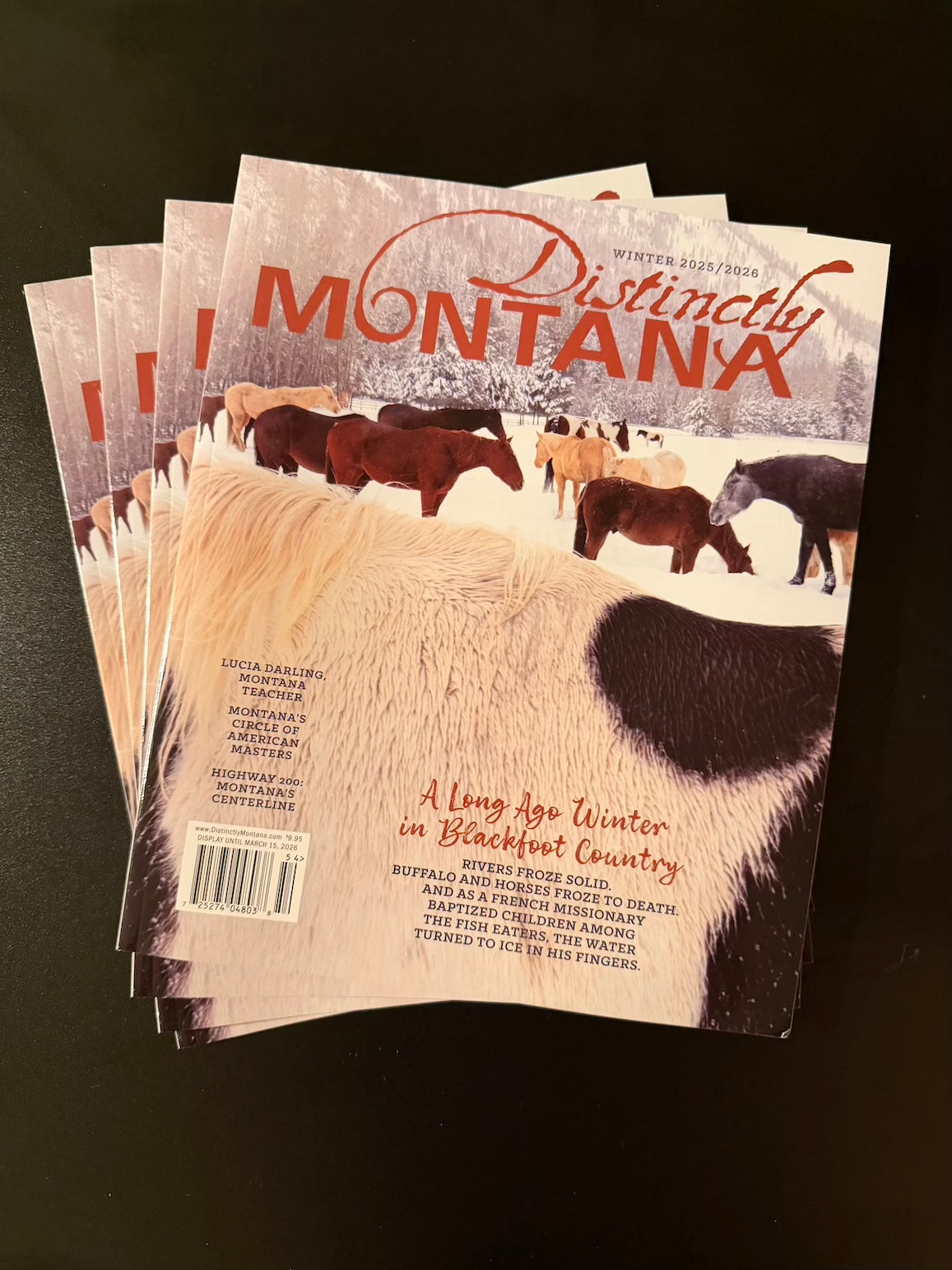 Single & Back Issue- Distinctly Montana Magazine