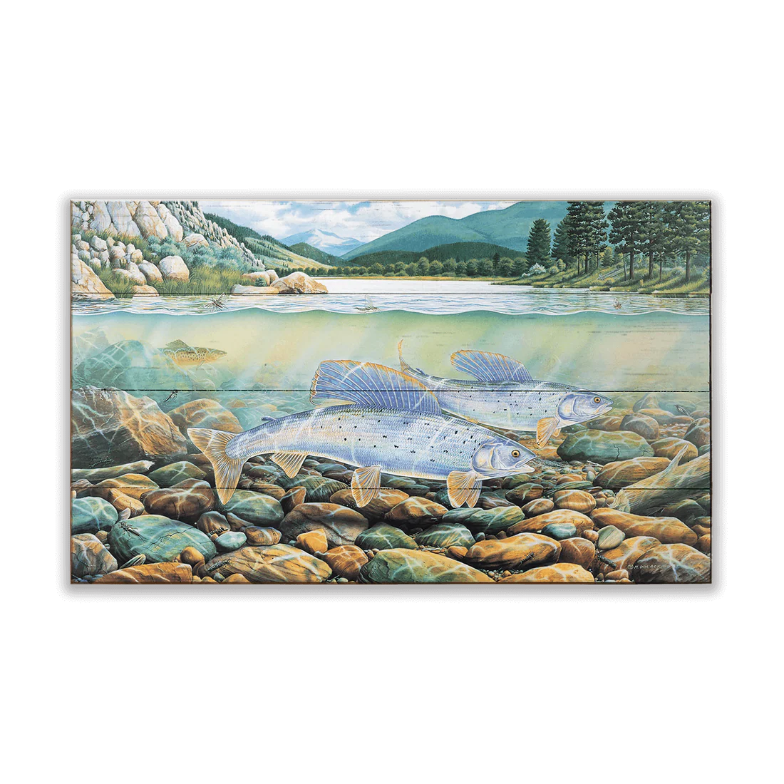 Montana Grayling Wall Art (wood & metal)