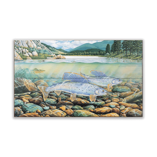 Montana Grayling Wall Art (wood & metal)