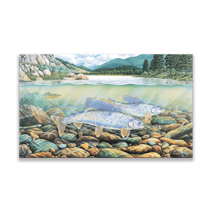 Montana Grayling Wall Art (wood & metal)