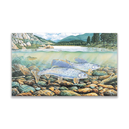 Montana Grayling Wall Art (wood & metal)