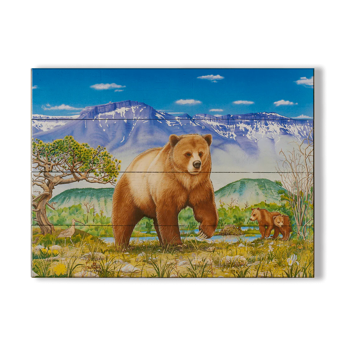 Pine Butte Swamp Wall Art (wood & metal)