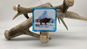 Bison at Geyser Night Light