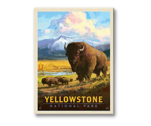Bisons in Yellowstone Wall Art