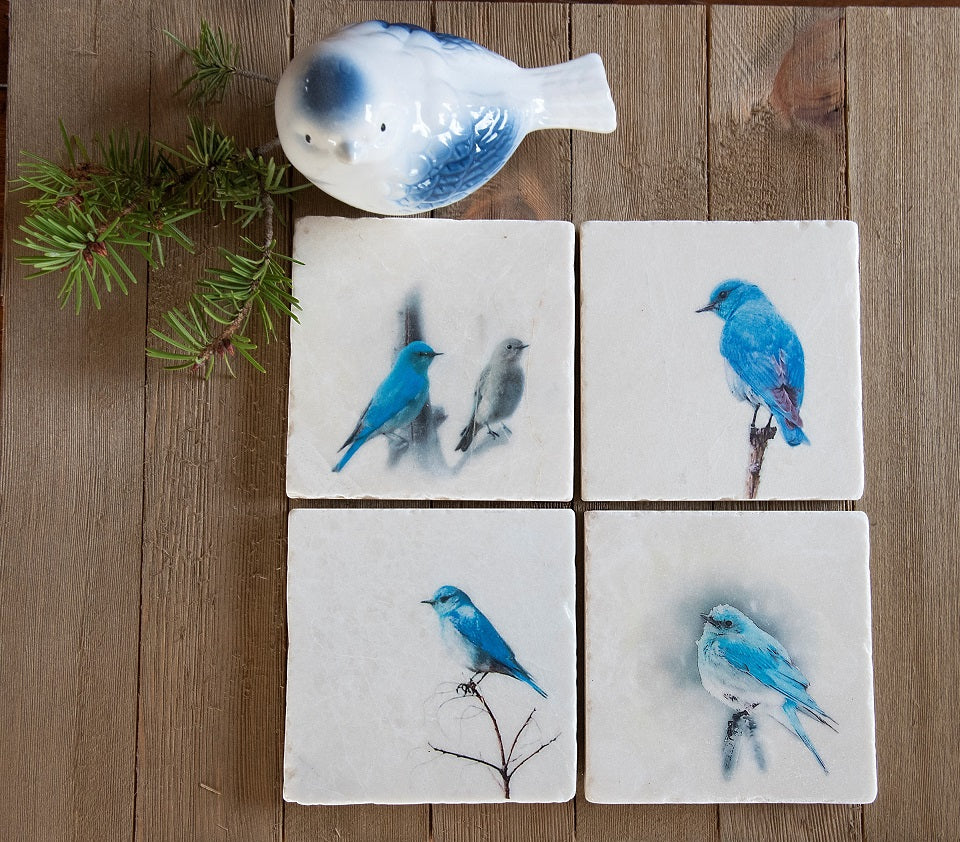 Montana Bluebirds Stone Coasters