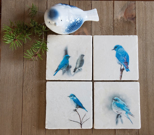 Montana Bluebirds Stone Coasters