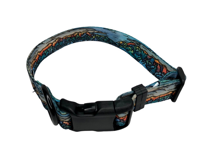"Bridger" Dog Collar & Leash