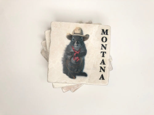 Montana Cowboy Squirrels Stone Coasters