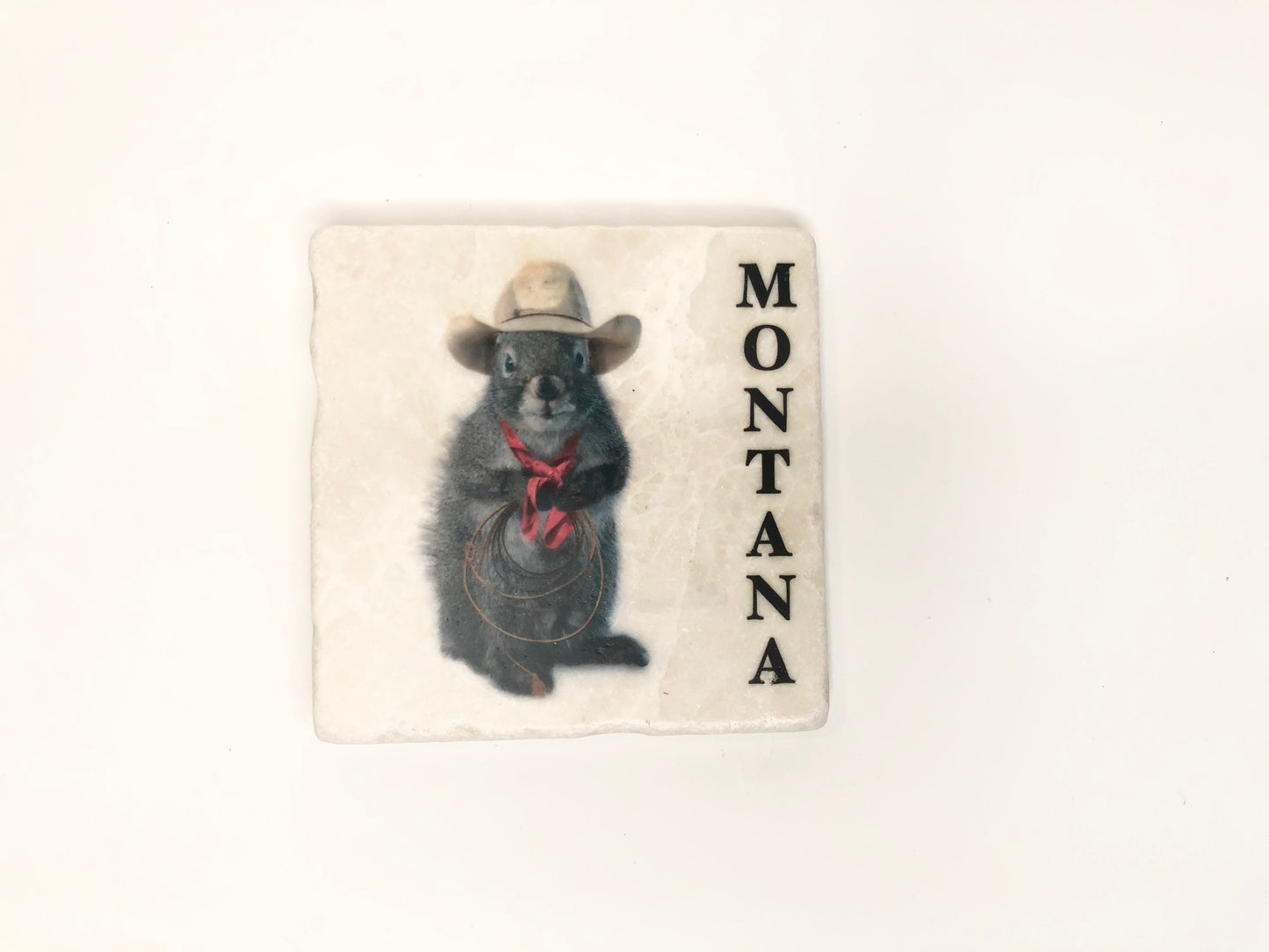 Montana Cowboy Squirrels Stone Coasters