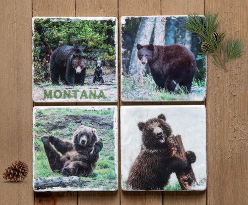 Montana Bear Stone Coasters
