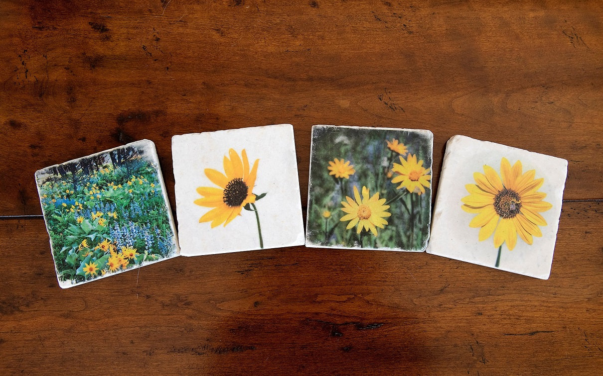 Montana Wildflower Coasters