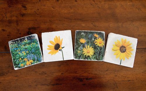 Montana Wildflower Coasters