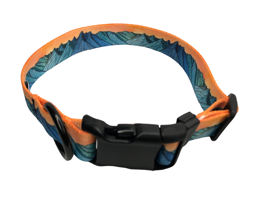 "The Grand" Dog Collar & Leash