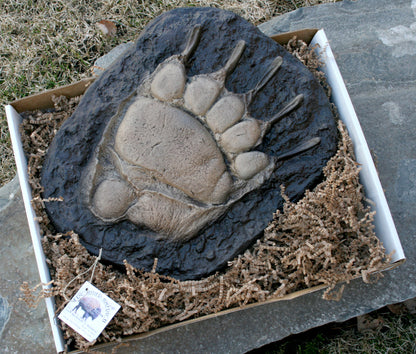 Montana Grizzly Bear Paw Track Wall Decor
