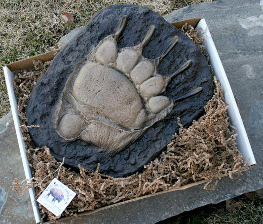 Montana Grizzly Bear Paw Track Wall Decor