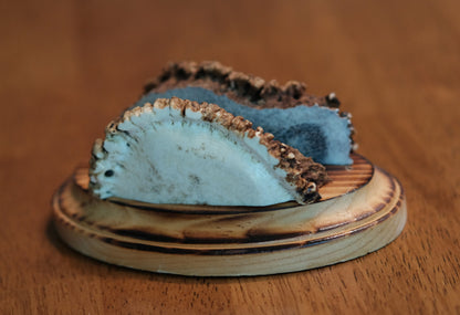 Burr Business Card Holder