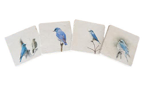 Montana Bluebirds Coasters