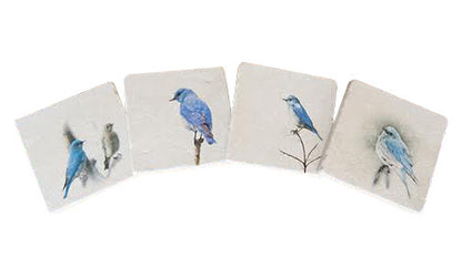 Montana Bluebirds Coasters