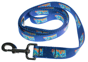 Love Montana Dog Collar & Leash - Blue Color