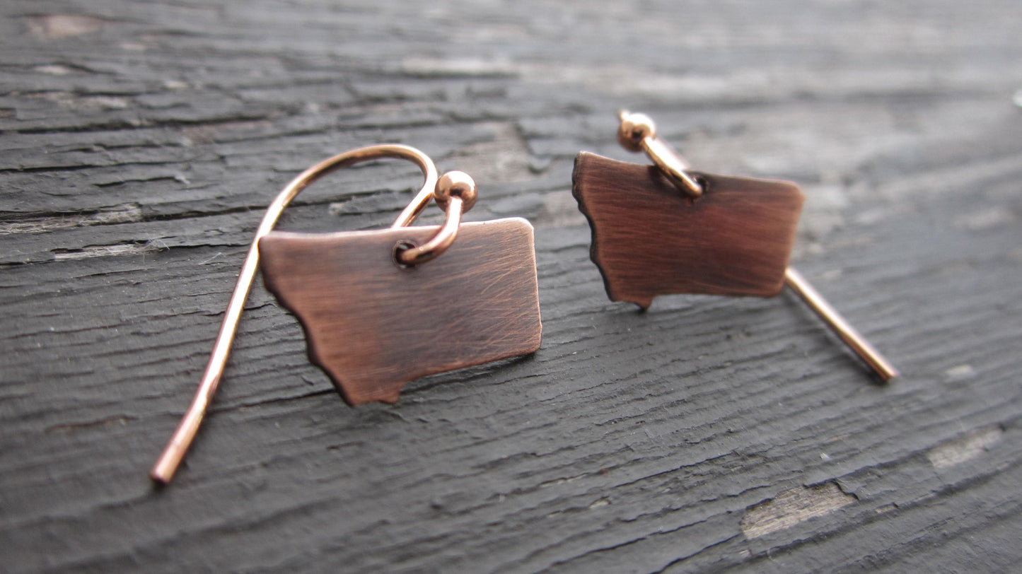 Montana Earrings, Sterling or Copper Charm