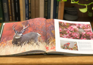 Wild Montana, Montana Book